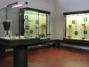 sezione-preistorica-e-veneti-antichi4